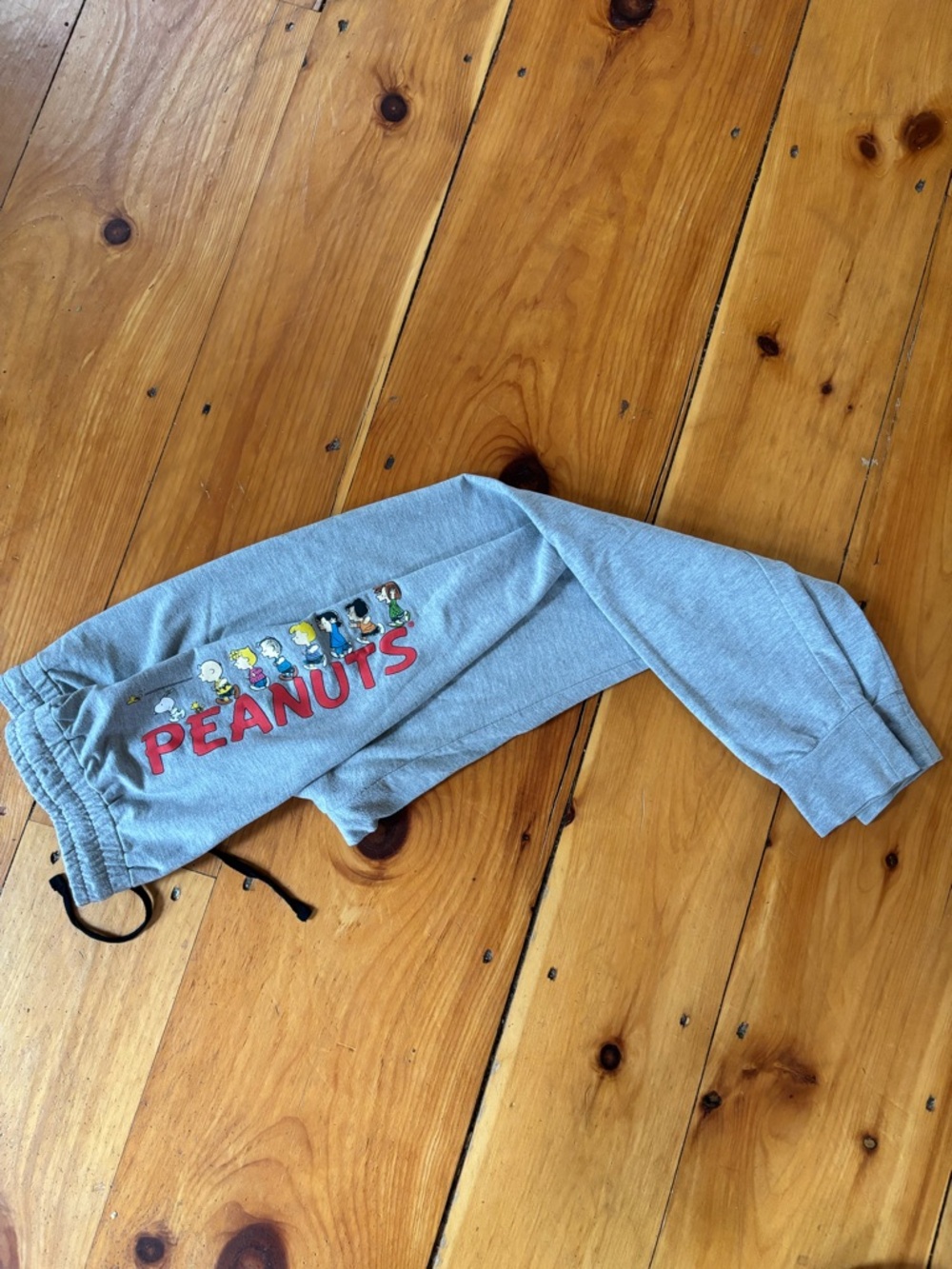 Peanuts Snoopy Graphic Joggers Gray Size M